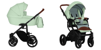 Детская коляска BEBETTO LUCA PRO 2 в 1  PRO 18