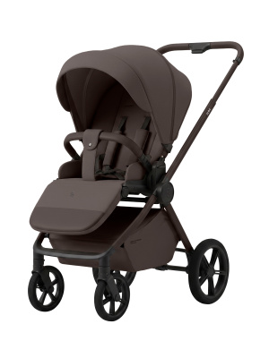 изображение Детская коляска SBL Alba 2 в 1 2.0