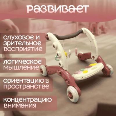 изображение Детские ходунки BubaGo Buzzle BG 184-1
